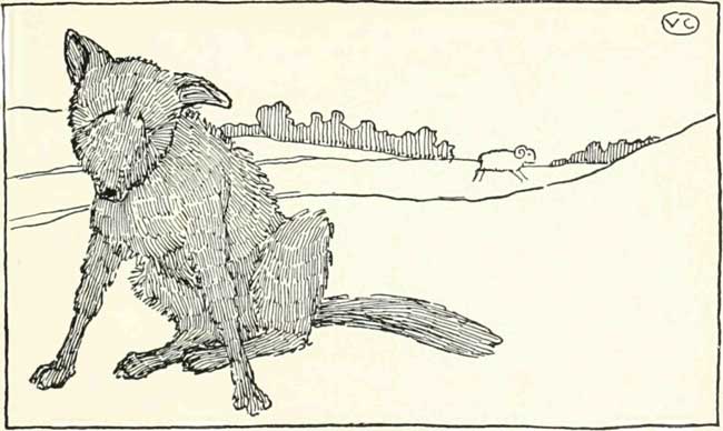 what a fool I must have been