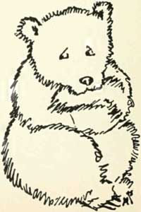 And Bruin said to the peasant