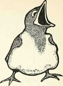 So they said good-bye to their master and mistress