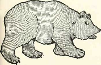 Bruin, take my daddy some more pies