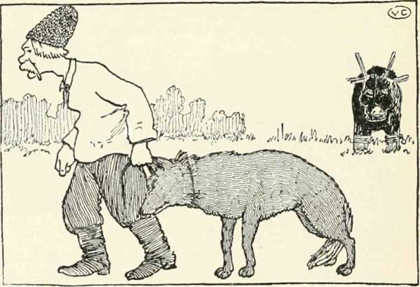 So the wolf tried to take some pitch