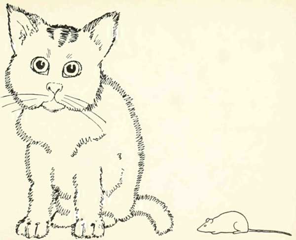 Cat and mouse