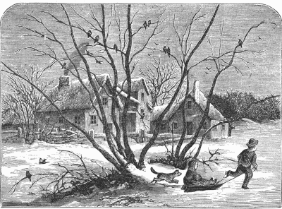 House in the snow House in the snow