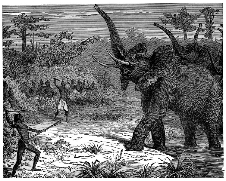 "YOUNG KALULU IS HERE!" "YOUNG KALULU IS HERE!"