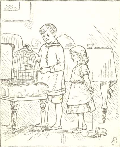 Feeding the lame Robin