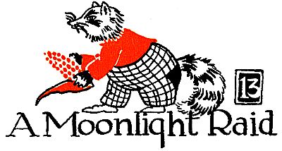 13: A Moonlight Raid 13: A Moonlight Raid