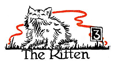 3: The Kitten 3: The Kitten