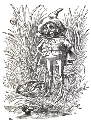 DAVY FALLS INTO THE ELASTIC SPRING. DAVY FALLS INTO THE ELASTIC SPRING.