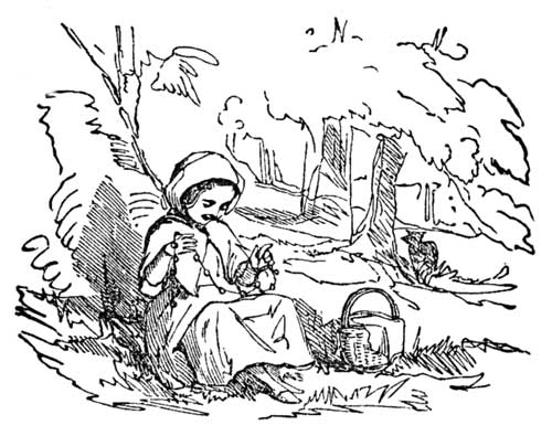 Little Red Riding Hood