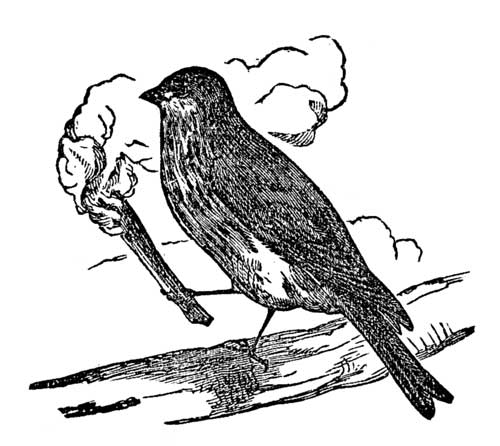 Death and Burial of Cock Robin
