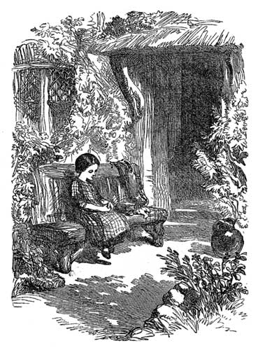 THE POND IN THE FIELD