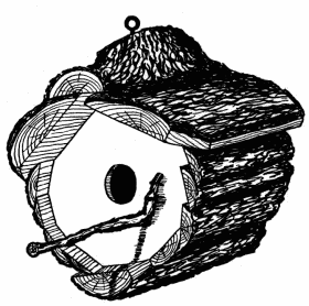 FIG. 35. A HOUSE OF CEDAR SLABS FOR JENNY WREN. FIG. 35. A HOUSE OF CEDAR SLABS FOR JENNY WREN.