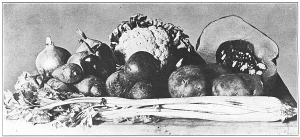 SOME HOMELY THANKSGIVING VEGETABLES SOME HOMELY THANKSGIVING VEGETABLES