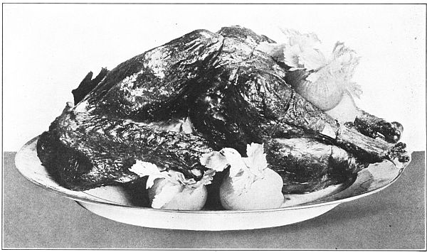 ROAST TURKEY ROAST TURKEY