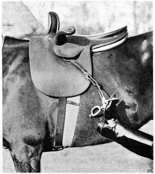 Foot coming out of a stirrup as rider falls.