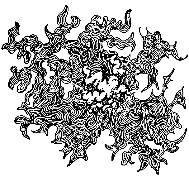Fig. 21. Colony of Bacillus - Proteus. Fig. 21. Colony of Bacillus - Proteus.