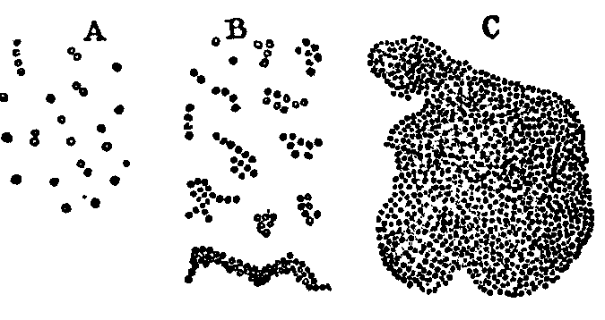Fig. 5. Characteristic groups of Micrococci. Fig. 5. Characteristic groups of Micrococci.