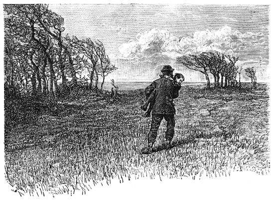 Illustration: 'STODDART ... CARRIED HIM' Illustration: 'STODDART ... CARRIED HIM'