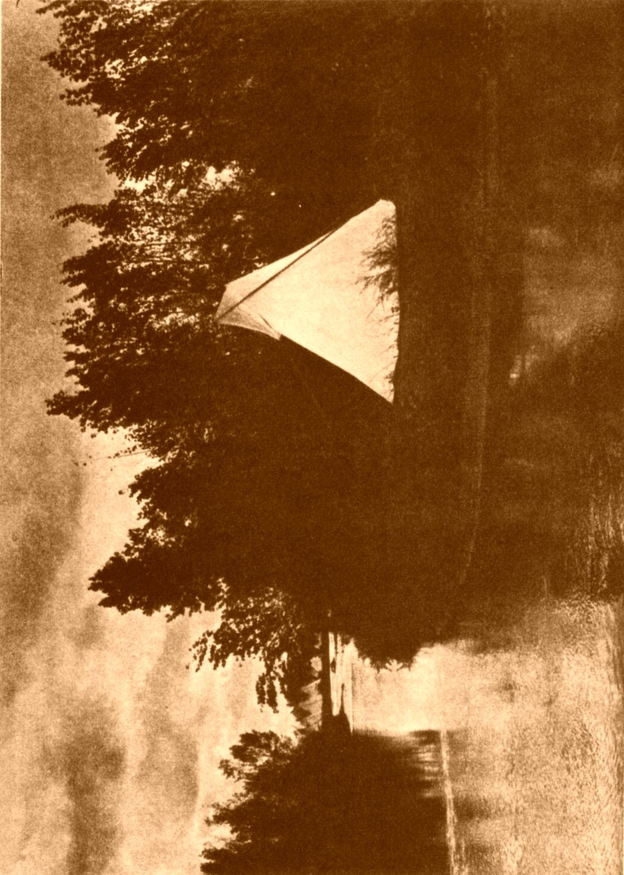 A Leaf from the Indian's Book A Leaf from the Indian's Book