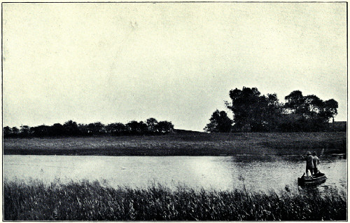 AN INEFFECTIVE CRIPPLE STOPPER