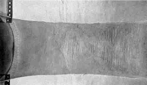 S. Irene. A Compartment of South Aisle Vaulting (looking directly upward).