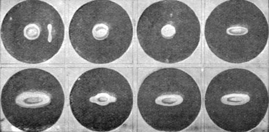 LITTLE LINKS IN THE CHAIN OF EVIDENCE.