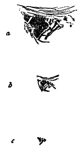 Fig. 22. Fig. 22.