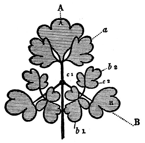 Fig. 47. Fig. 47.