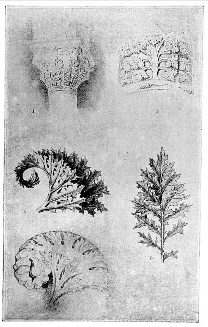 THE ACANTHUS OF TORCELLO. THE ACANTHUS OF TORCELLO.