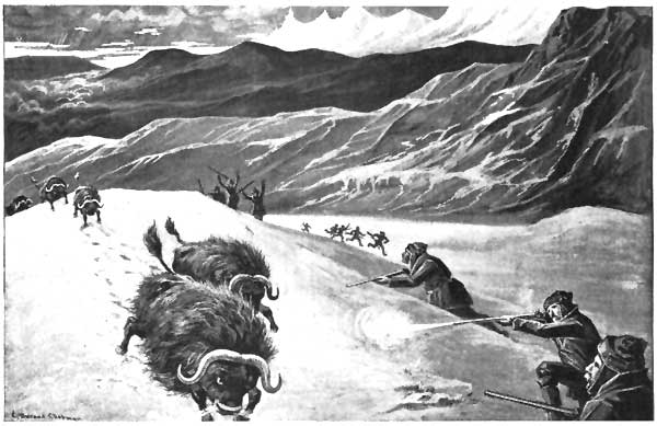 A SEMICIRCLE OF RIFLES WAS DISCHARGED AT THE UNHAPPY BRUTES, AND TWO FELL DEAD IN THEIR TRACKS.