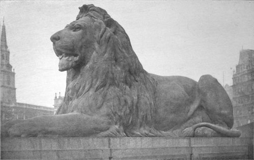 A LION OF THE NELSON MONUMENT Trafalgar Square, London A LION OF THE NELSON MONUMENT Trafalgar Square, London