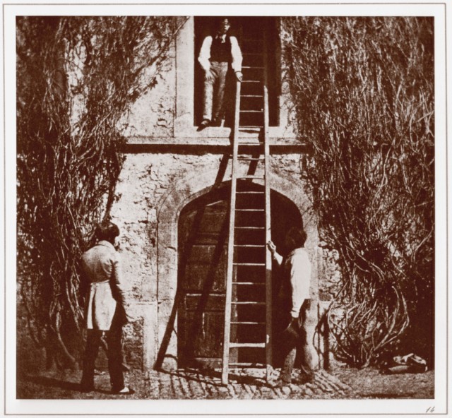 PLATE XIV. THE LADDER. PLATE XIV. THE LADDER.