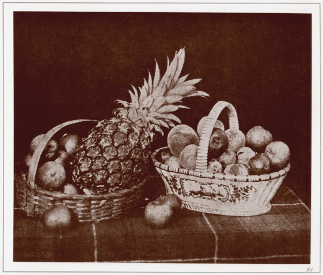 PLATE XXIV. A FRUIT PIECE. PLATE XXIV. A FRUIT PIECE.