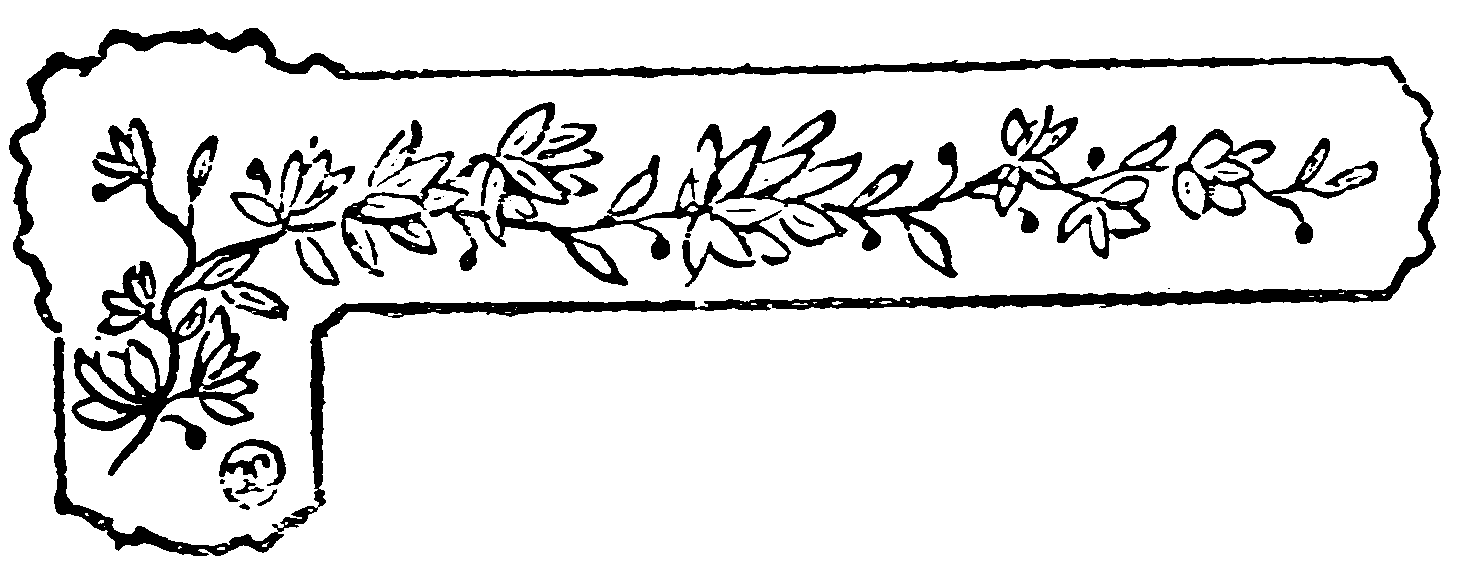 decoración decoración