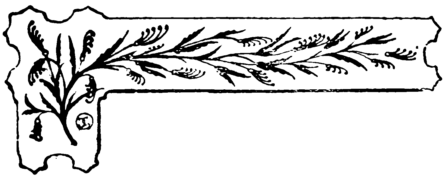 decoración decoración