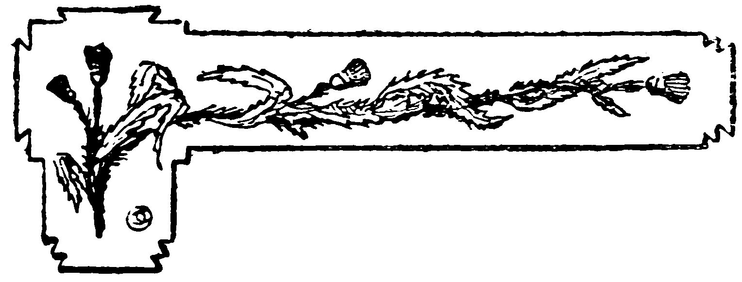 decoración decoración