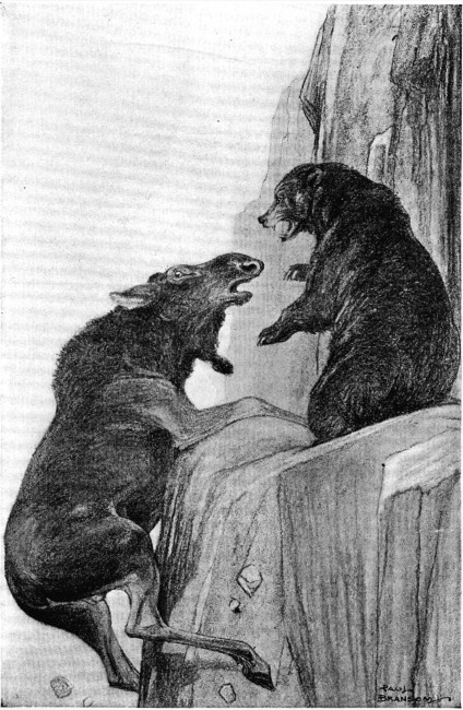 He struggled frantically to drag himself up again upon the ledge.