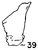 Fig.39 Fig.39
