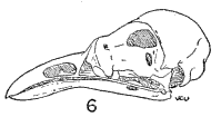 Fig.6 Fig.6