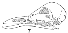 Fig.7 Fig.7