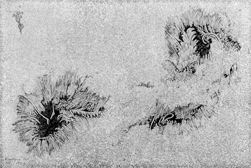 Fig. 72.—Sun spot of March 5, 1873.—From Langley, The New Astronomy. By permission of the publishers. Fig. 72.—Sun spot of March 5, 1873.—From Langley, The New Astronomy. By permission of the publishers.