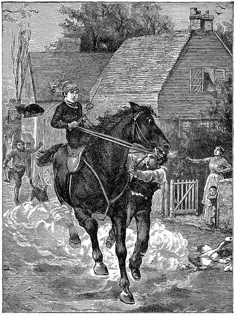 A RECKLESS RIDE. A RECKLESS RIDE.