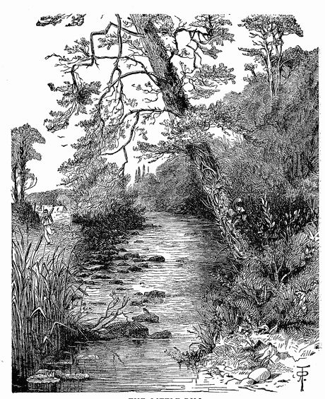 THE LITTLE RILL. THE LITTLE RILL.