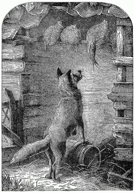 MR. FOX IS SURE. MR. FOX IS SURE.