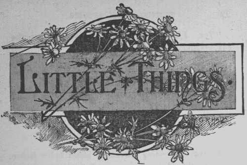 Little Things Little Things