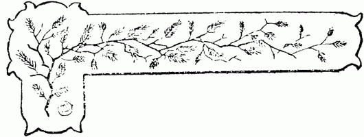 barra decorativa apendice barra decorativa apendice