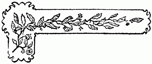 barra decorativa capítulo XII barra decorativa capítulo XII