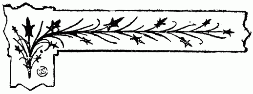 barra decorativa capítulo XIV barra decorativa capítulo XIV