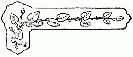 barra decorativa capítulo XIX barra decorativa capítulo XIX