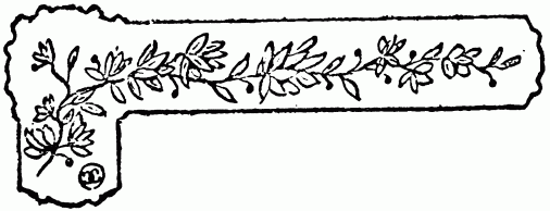 barra decorativa capítulo XVI barra decorativa capítulo XVI